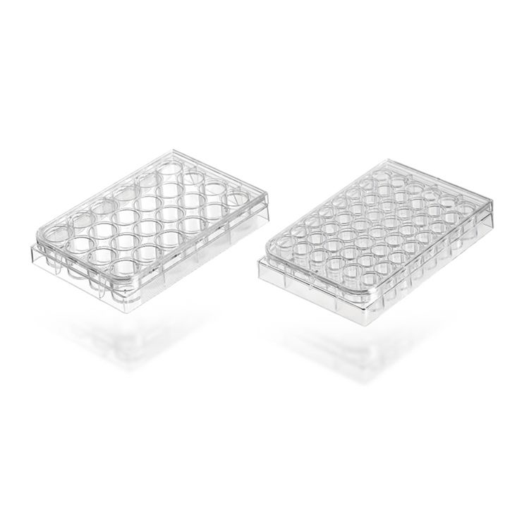 Multi Well Plate 1